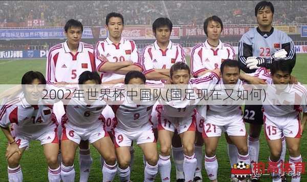 2002年世界杯中国队(国足现在又如何)